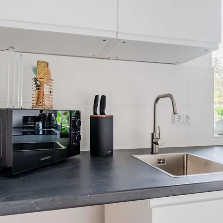 Apartment Modernes Im Hollaendischen Viertel