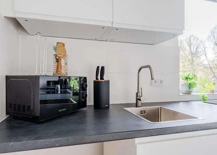 Apartment Modernes Im Hollaendischen Viertel